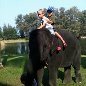 Meet your Posher, Abby